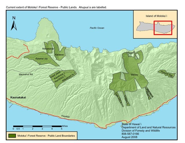 molokai2