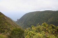 molokai3