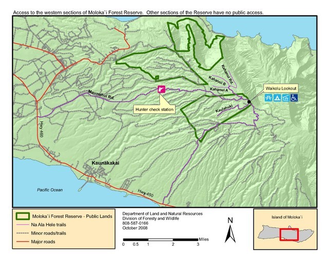 Division of Forestry and Wildlife: Forestry Program | Moloka‘i Forest ...