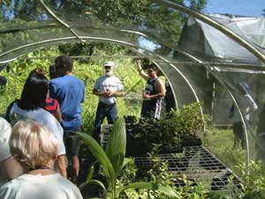 HCC_native_greenhouse