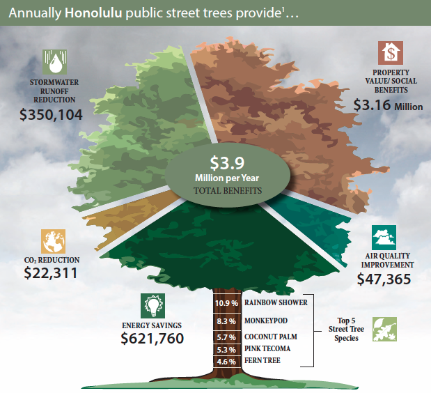 why trees are important