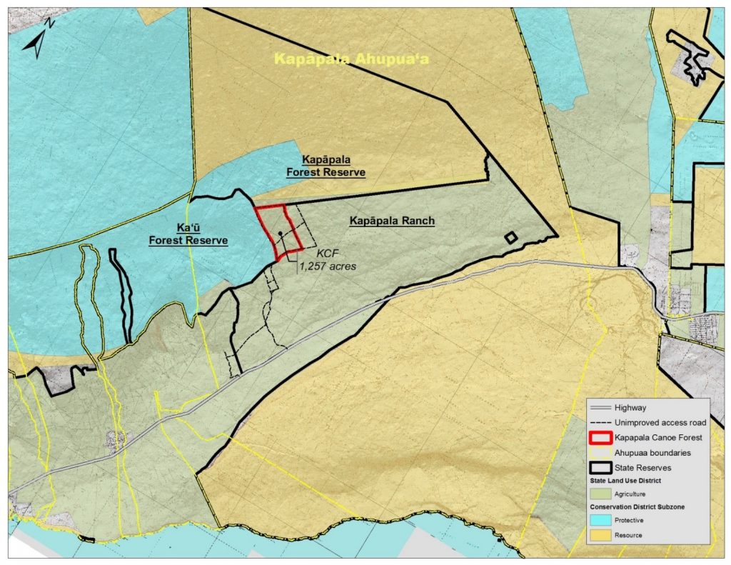 Forestry Programs | Kapāpala Canoe Forest