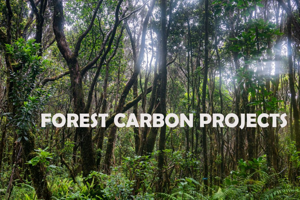 Division Of Forestry And Wildlife: Forestry Program | Forest Carbon ...