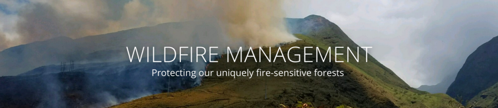 Division Of Forestry And Wildlife Forestry Program Fire Management