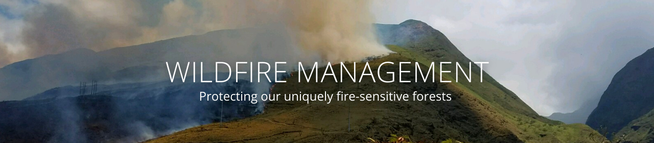 An image of a wildfire with the text "Wildfire Management: Protecting our uniquely fire-sensitive forests"