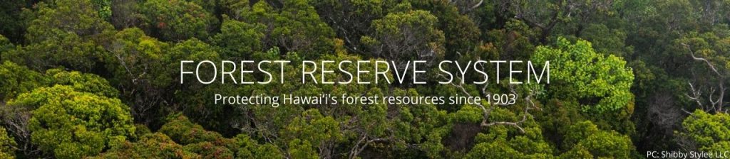 Division Of Forestry And Wildlife: Forestry Program | Forest Reserve System