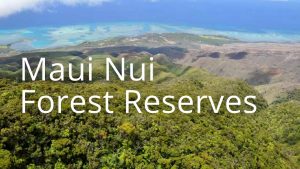 An image and button related to Maui Nui Forest Reserves