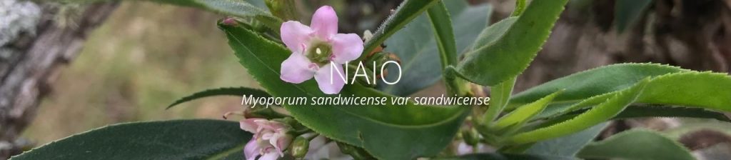 cover image of naio