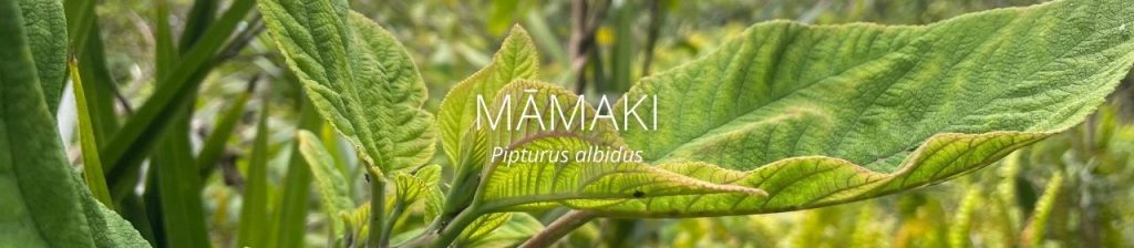 cover image of mamaki