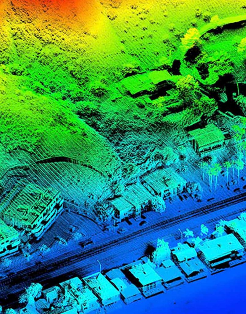 Division of Forestry and Wildlife Forestry Program Tree Canopy