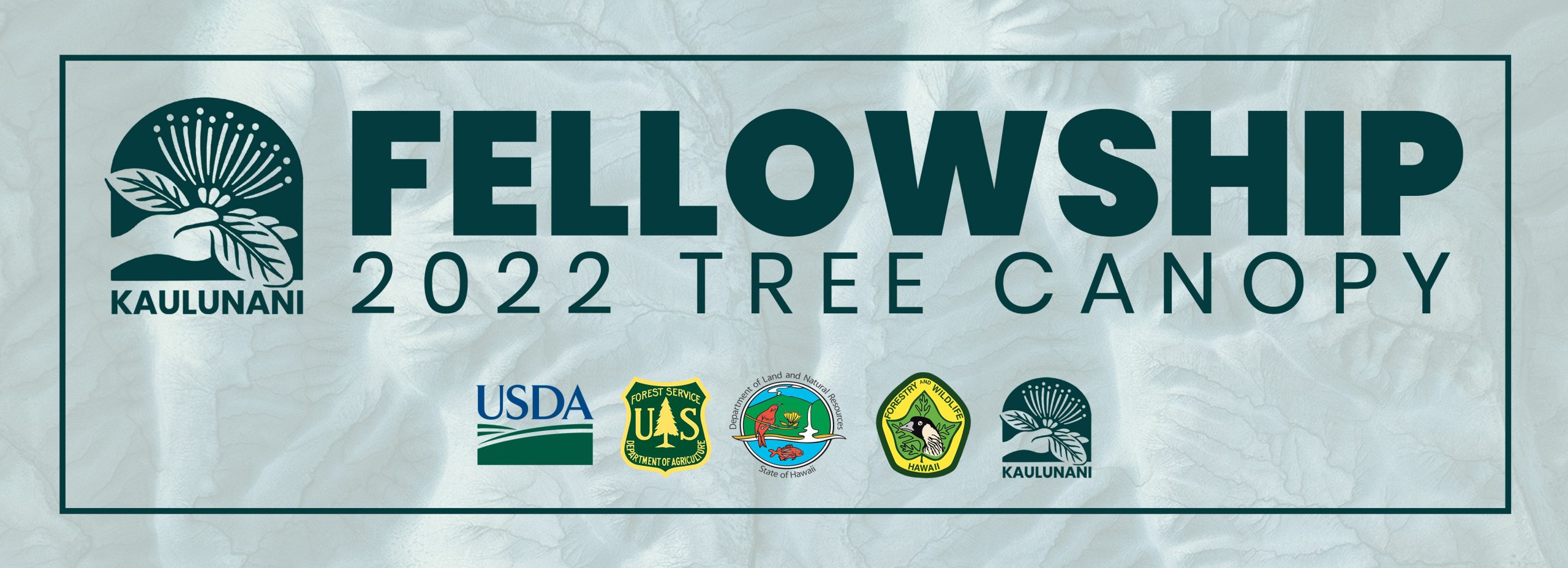 Tree Canopy Fellowship Logo