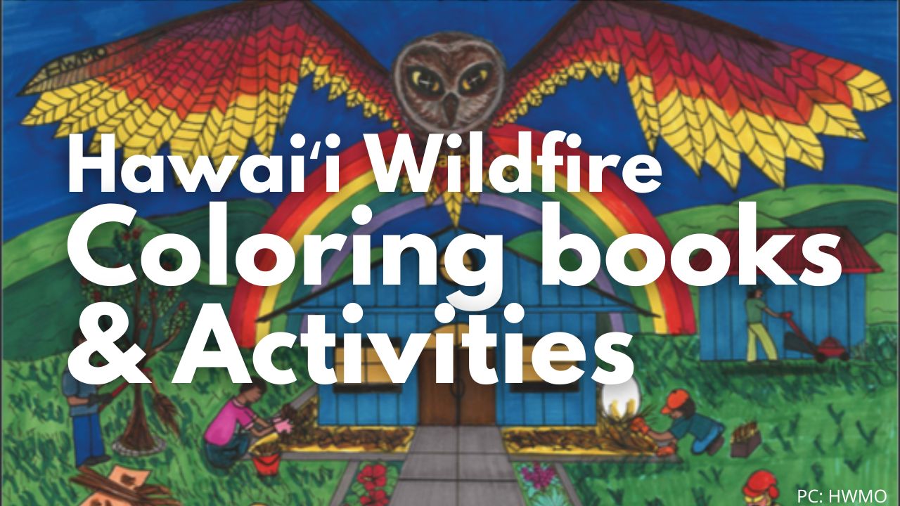 Wildfire activities artwork