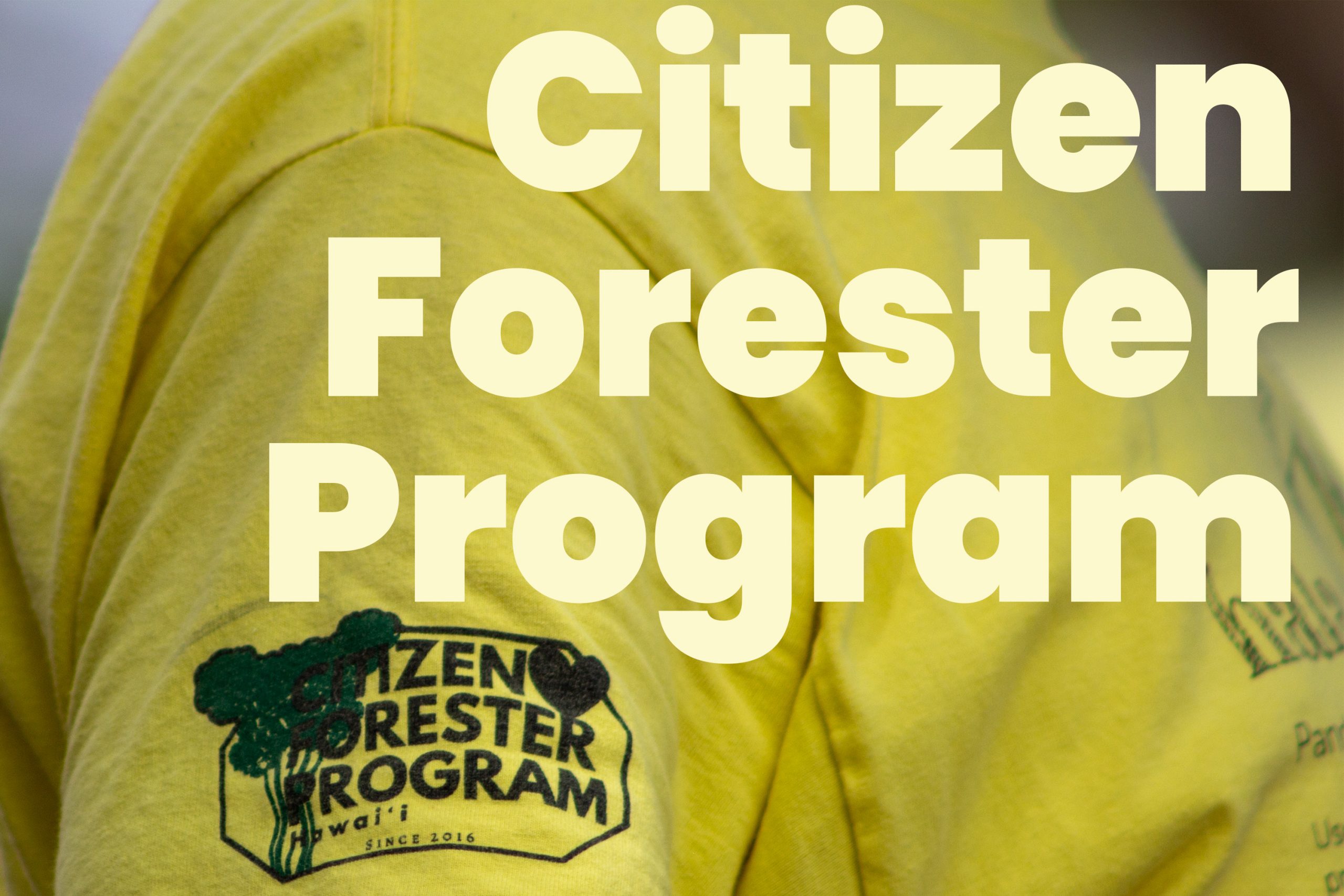 Citizen Foresters Button