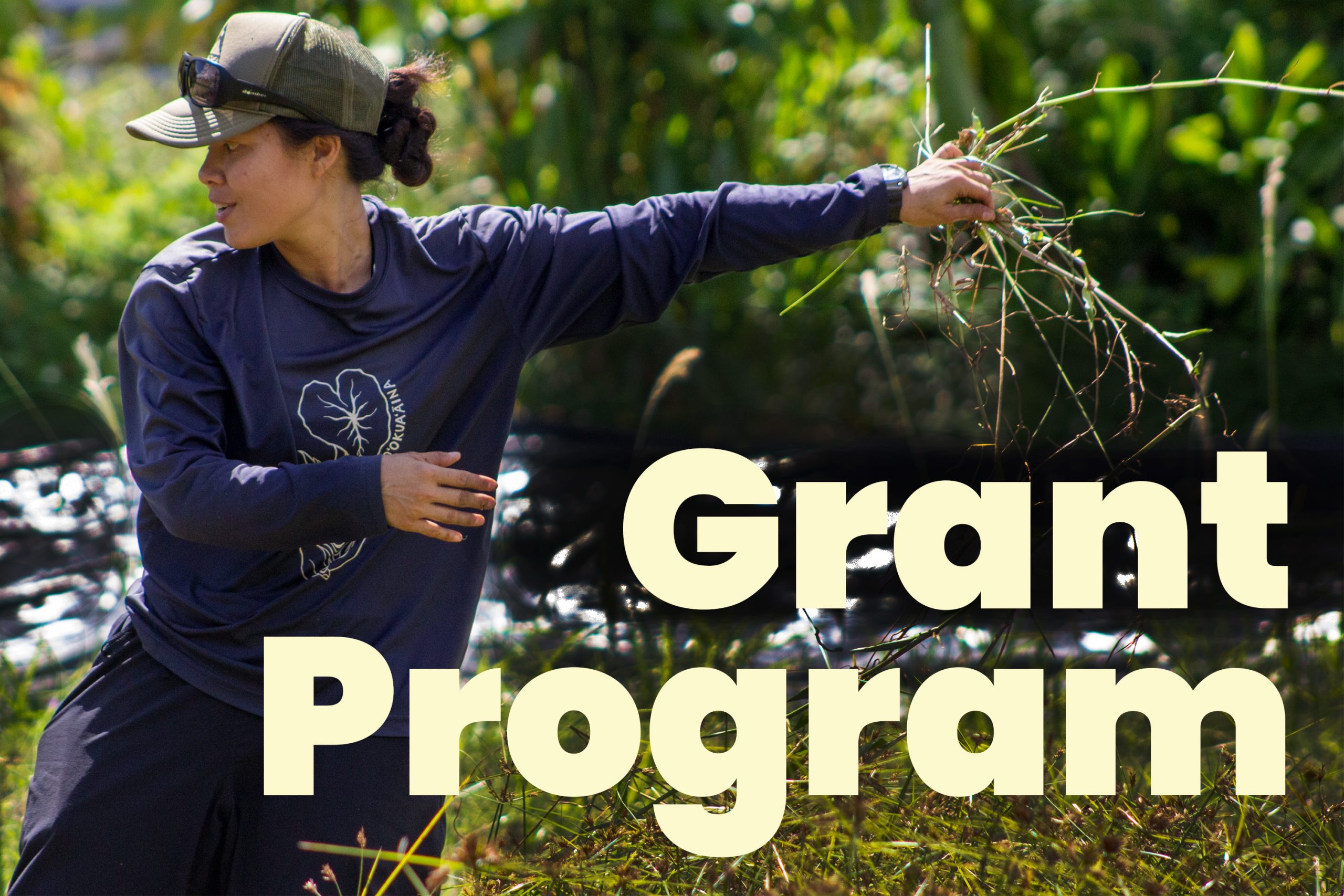 Grant Program Button