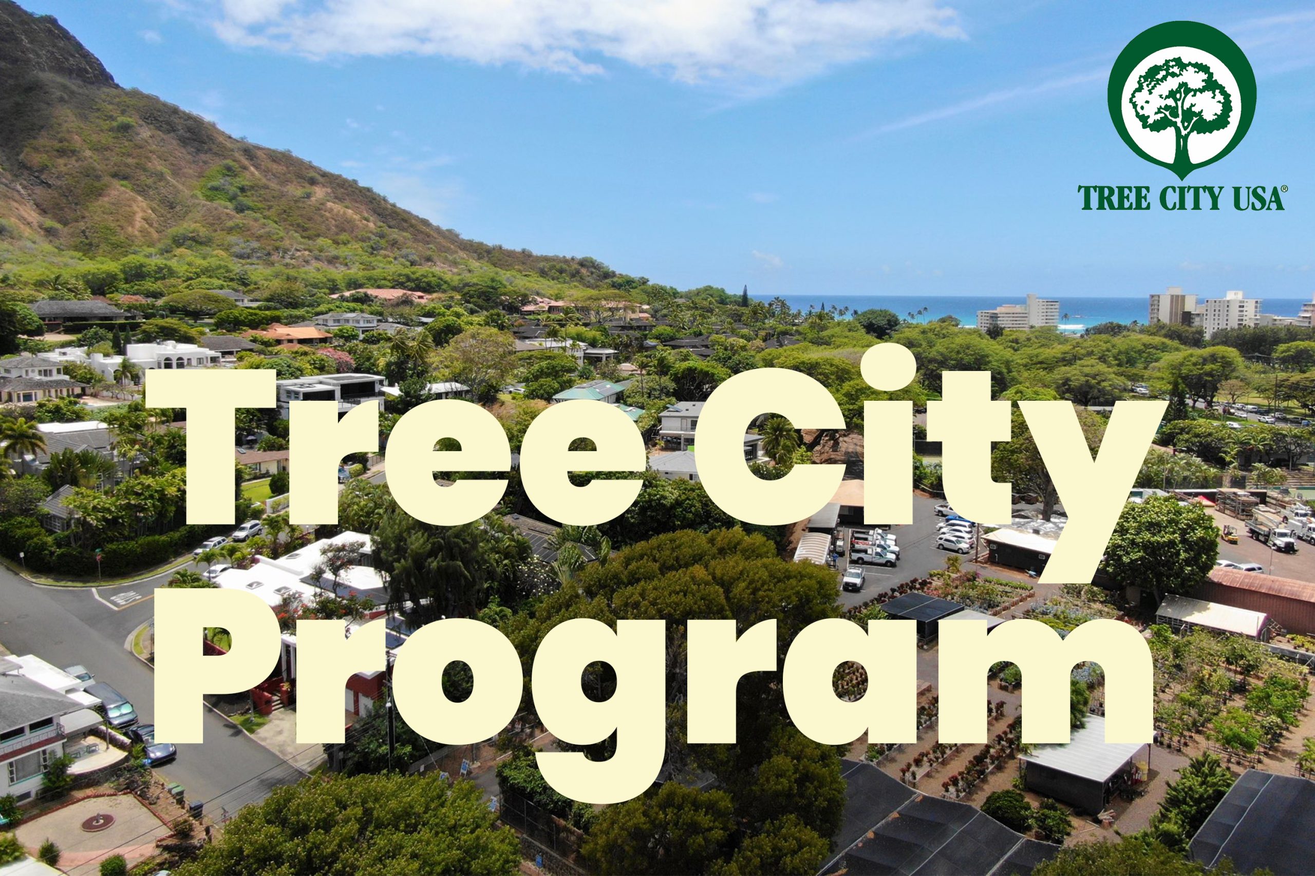 Tree City Program Button