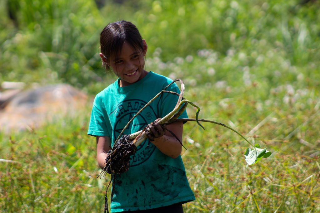 young girl smiles while cleaning a kalo plant