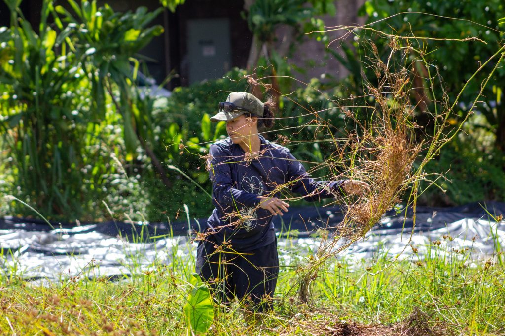 farmer throws pile of weeds over her left shoulder