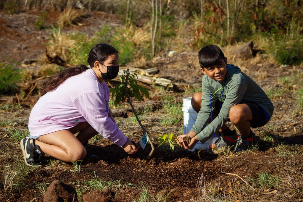 two keiki put mulch next to a newly planted tree