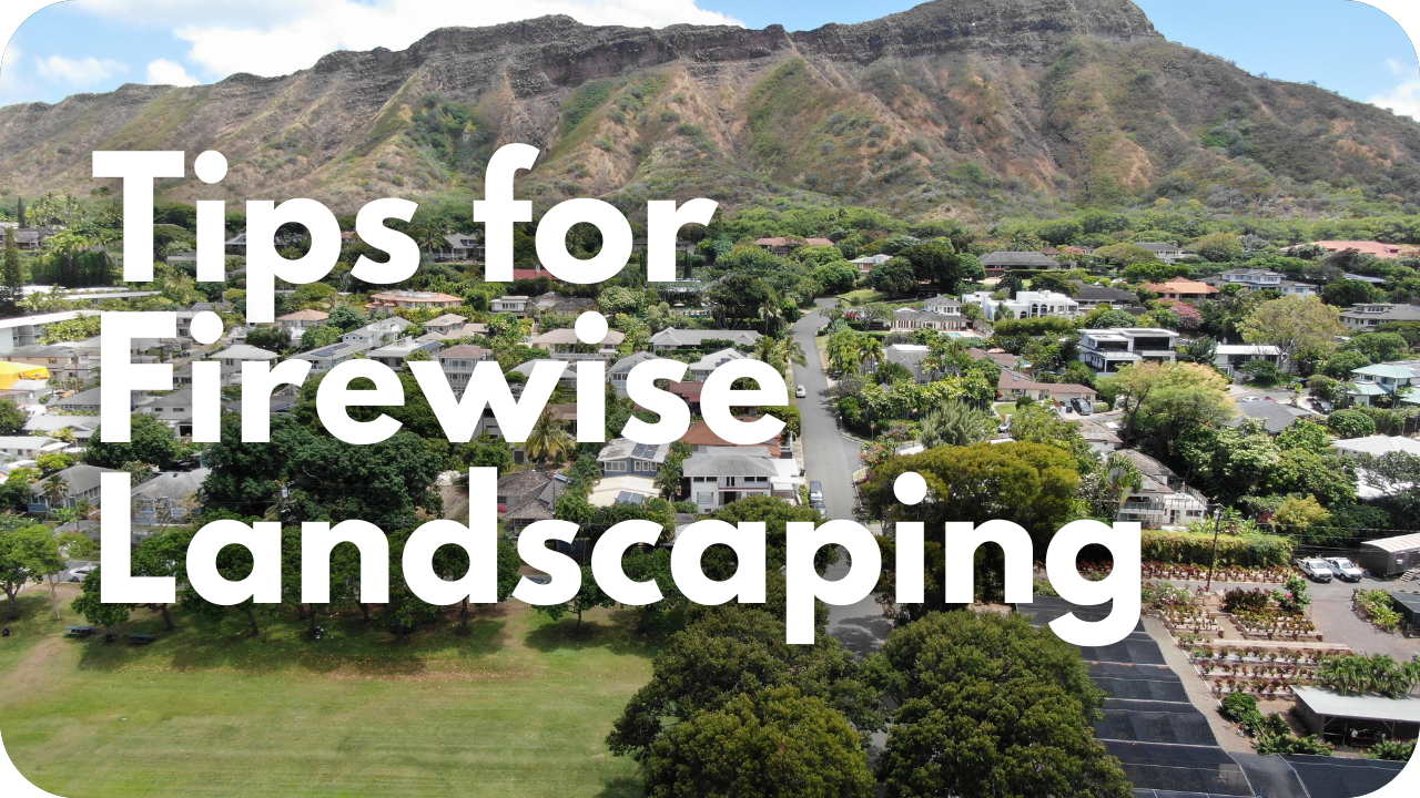 Firewise landscaping