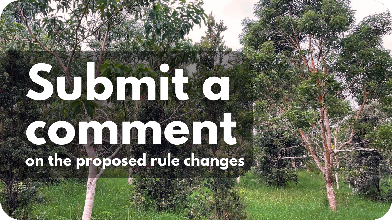 Submit a comment on the proposed rule changes