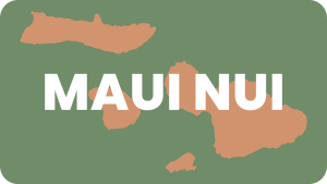 Maui Nui