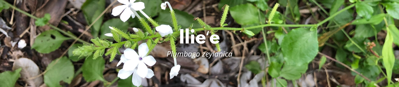 Ilieʻe