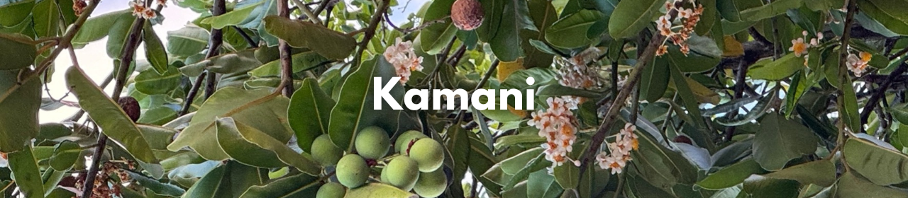 Kamani