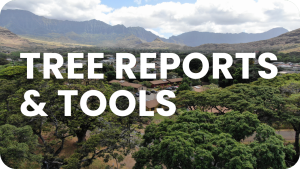 Tree Reports & Tools