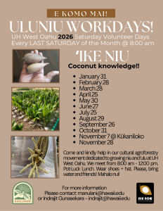 UH West Oahu Saturday Volunteer Days 2026 Every LAST SATURDAY of the Month @ 8:00 am
For more information
Please contact: manulani@hawaii.edu
or Indrajit Gunasekara - indrajit@hawaii.edu
 Honoring Our Coconut Heritage
'IKENIU Coconut knowledge!!
• January31 • February28
• March 28
• April 25 • May30 • June27
• July 25
• August29
• September 26
• October 31
• November 7 @ Kukaniloko
• November 28
Come and kindly help in our cultural agroforestry movement dedicated to growing niu and 'ulu at UH West Oahu. We meet from 8:00 am - 12:00 pm. Pot-Luck Lunch. Wear shoes +hat. Please, bring water and friends! Mahalo nui!