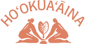 Hookuaaina logo