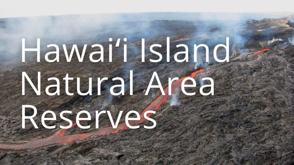 An image of a lava field linking to info on Hawaiʻi Island Natural Area Reserves