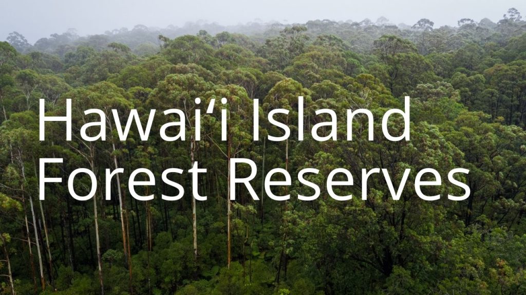 An image of a forest linking to info on Hawaiʻi Island Forest Reserves