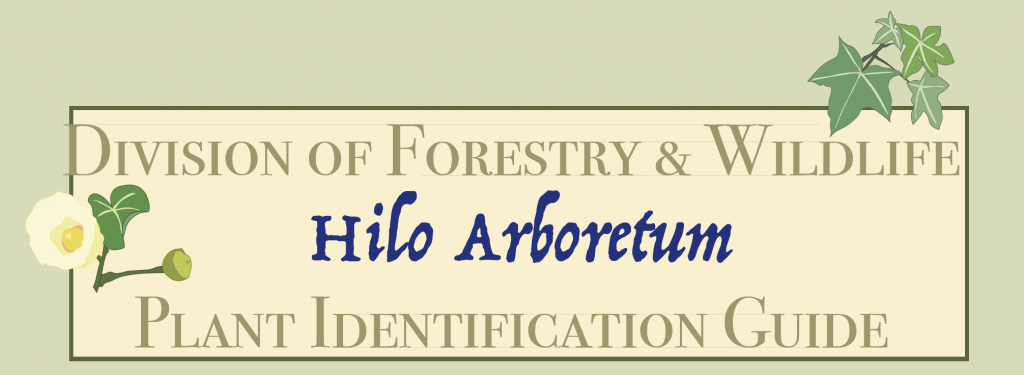 A graphic with plants reading Division of Forestry & Wildlife- Hilo Arboretum- Plant Identification Guide