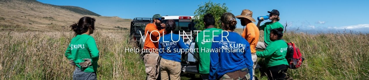 An image of people volunteering on Hawaiʻi Island