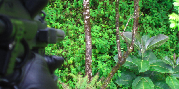 Hawaii Invasive Species Council | Hawaii Researchers Win