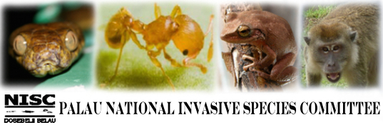 Hawaii Invasive Species Council | Palau National Invasive Species Committee