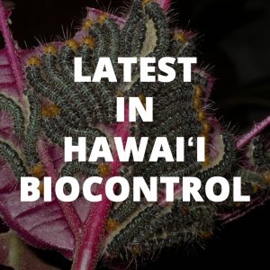 Button link to learn about the latest in Hawaii Biocontrol