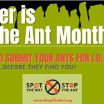 Stop the Ant month with text collect and submit ants, find them before they find you