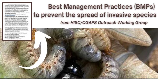Best Management Practices for Invasive Species from HISC/CGAPS working group graphic