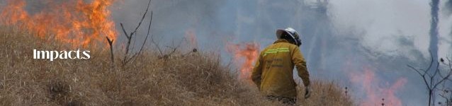 fireman in front of grasses burning with the text impacts