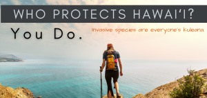 Who Protects Hawaii? You do. 