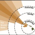 Graphic image of preborder, border, and postborder biosecurity in Hawaii from Hawaiʻi Interagency Biosecurity Plan