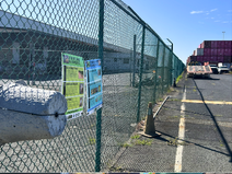 Africanized honeybee trap.