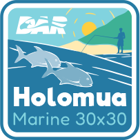 Holomua Marine 30×30 logo