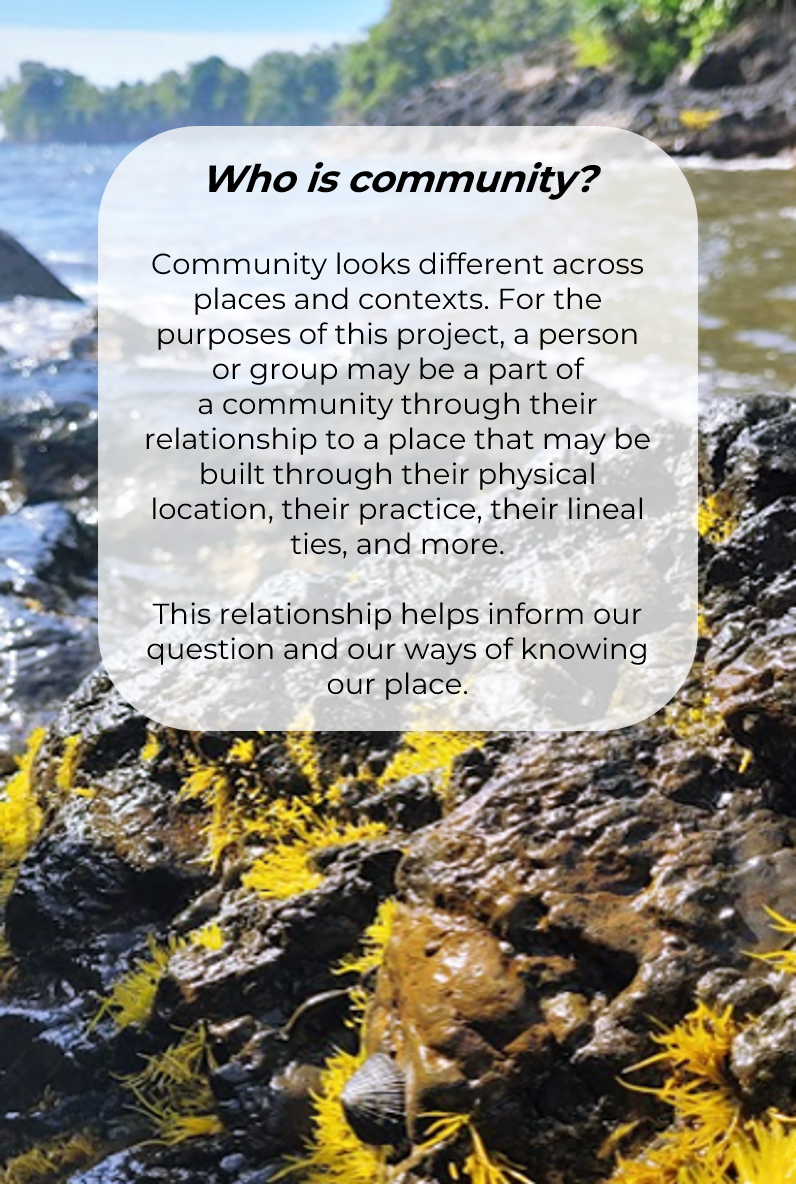 Holomua Marine Initiative | Kōkua Community-Based Monitoring Project