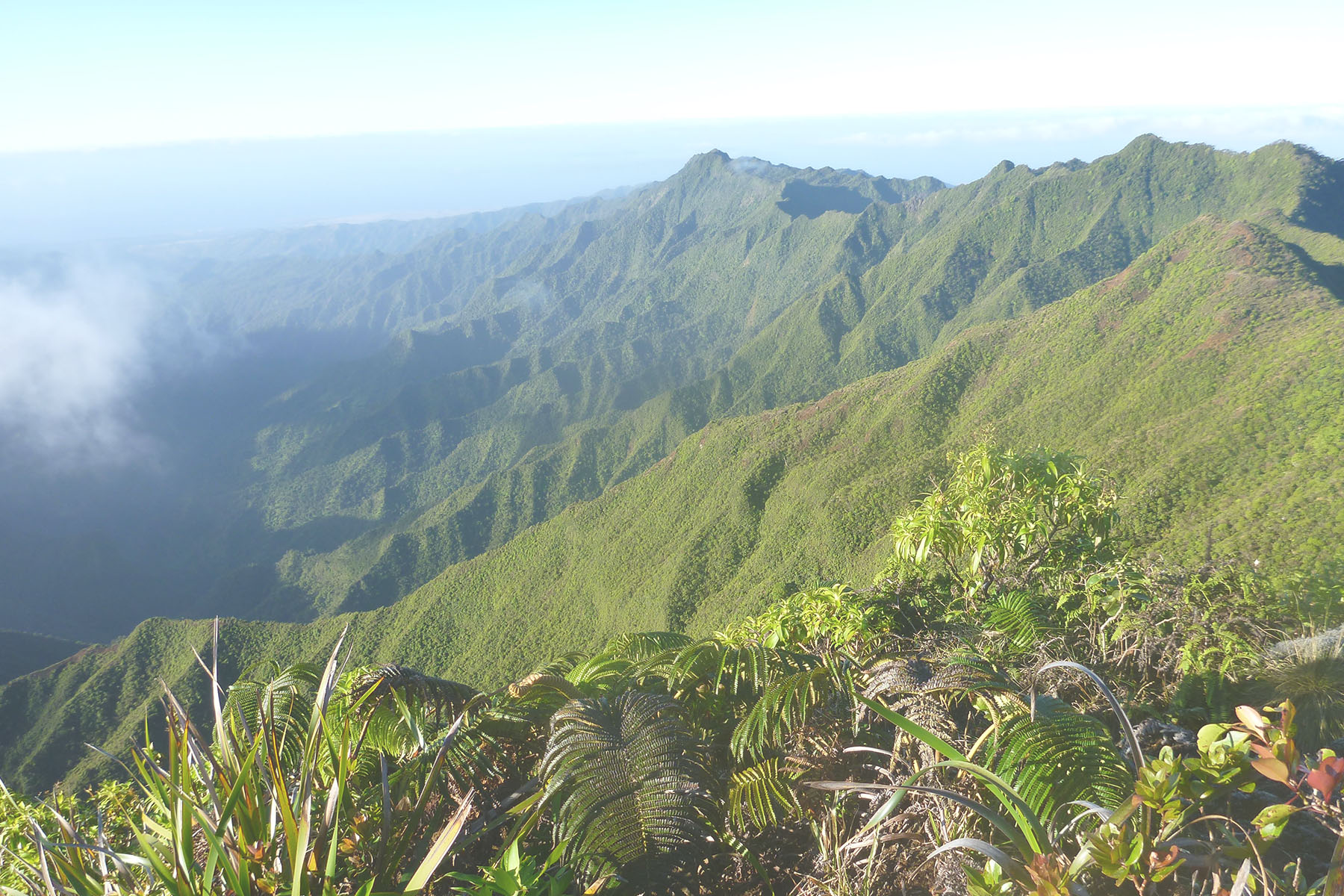 An image of Kauaʻi mountains at Kawaikini