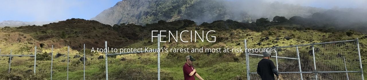 An image of a mountain and fence with the words Fencing a tool to protect Kauaʻi's rarest and most at-risk resources