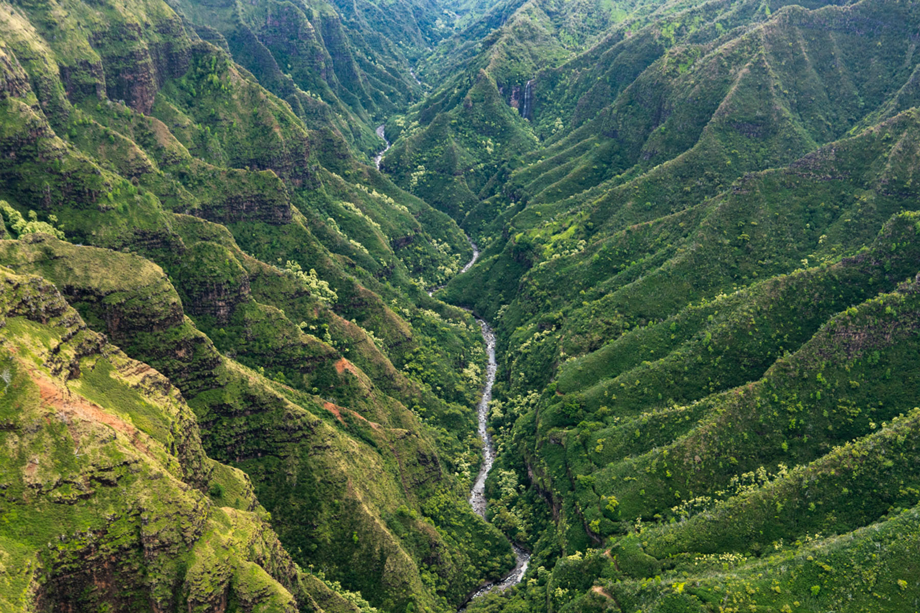 An image of a forested valley on Kauaʻi