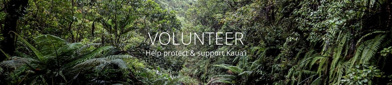 An image of a forest with the words Volunteer Help protect & support Kauaʻi