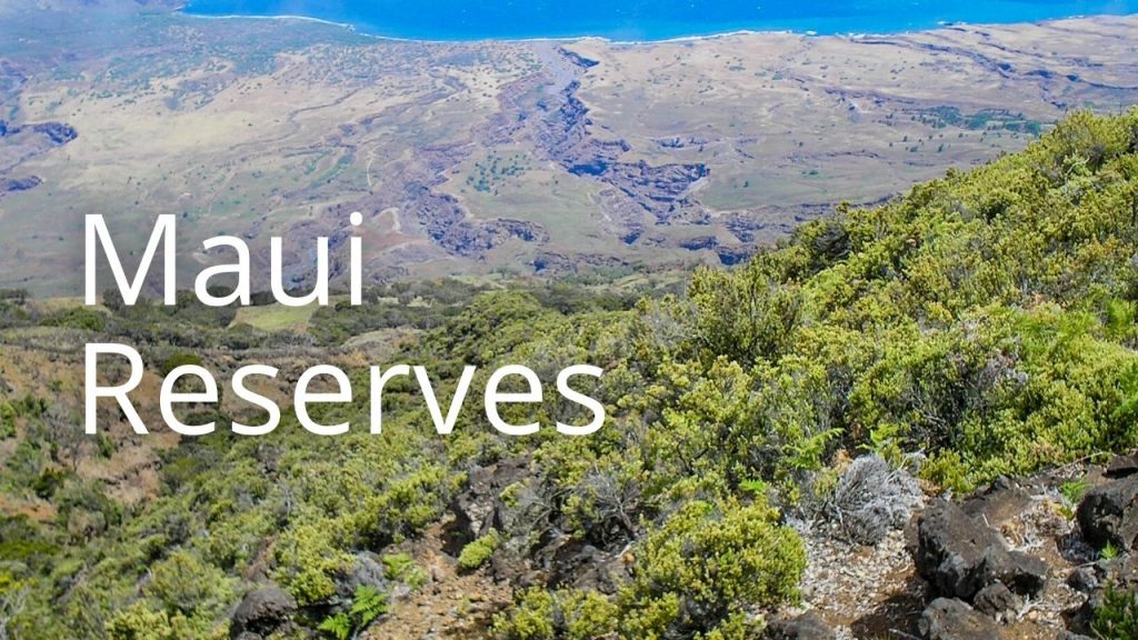 An image of Nakula NAR linking to Maui reserves